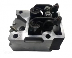 Головка цилиндра (ГБЦ) Common Rail / SELERUS